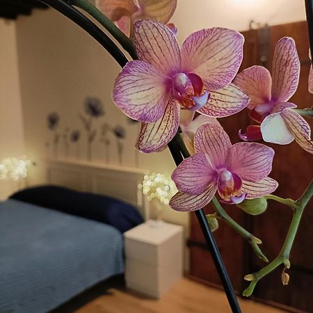 ルッカIl Giardino Segretoアパートメント エクステリア 写真