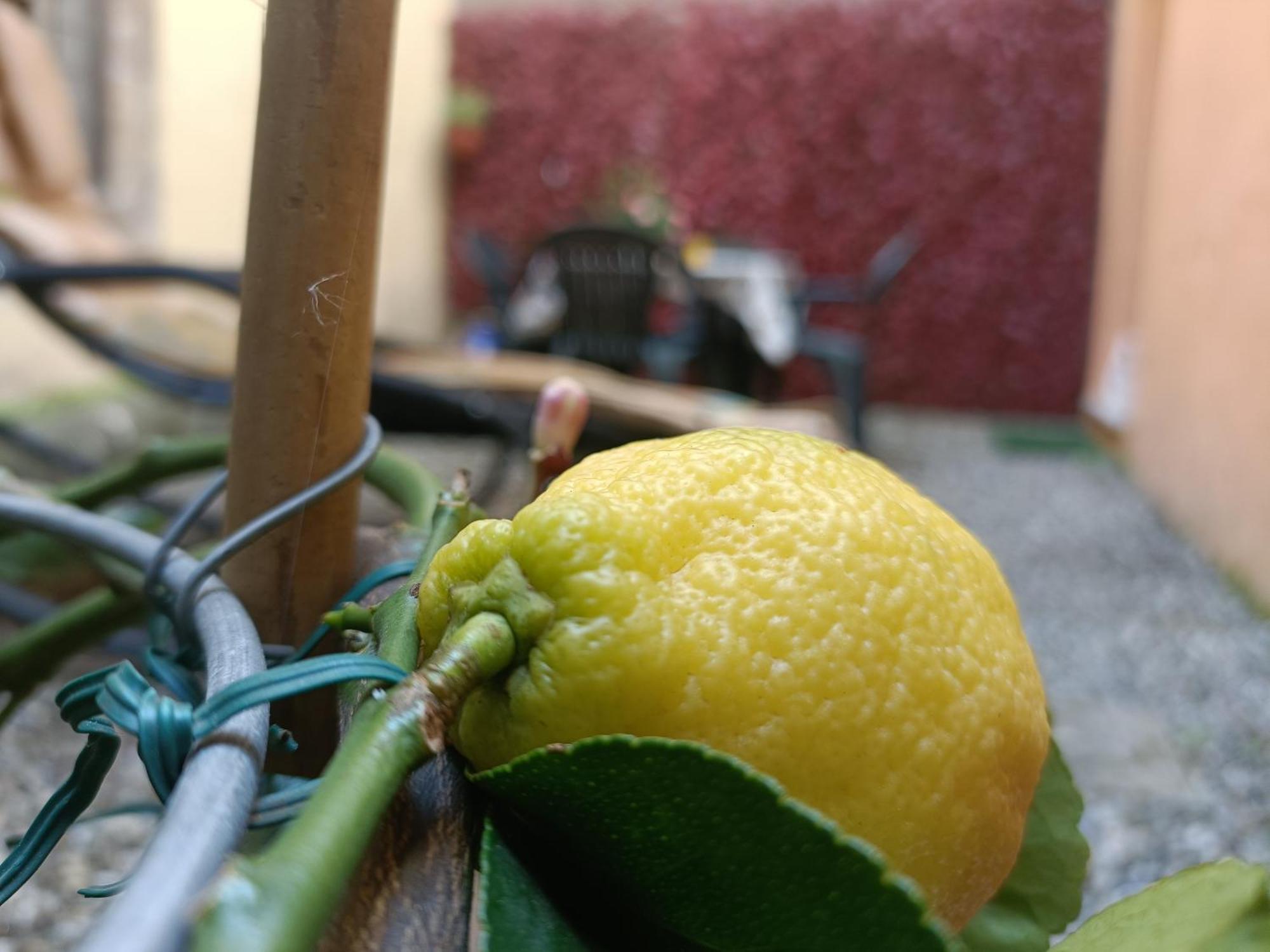 ルッカIl Giardino Segretoアパートメント エクステリア 写真